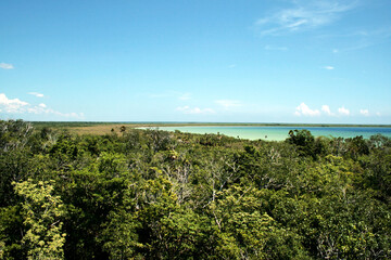 Panoramic View of Forest and Lagoon – Sian Ka’an, Mexico
