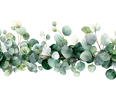 Watercolor Eucalyptus Branch Border with Green and Gray Leaves, PNG