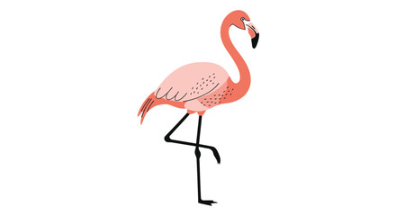 Fototapeta premium Exotic Pink Flamingo Standing Gracefully on One Leg During a Beautiful Summer Day