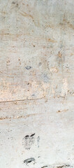 wood texture background