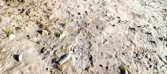 stone wall texture