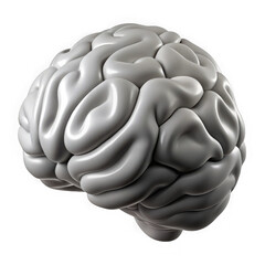 3d render of a white brain isolated on transparent background