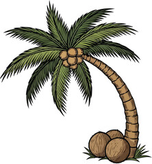 Hand-drawn coconut palm tree with coconuts and curved trunk