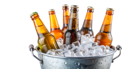 Several bottles of cold beer are chilling in a metal bucket filled with ice cubes isolated on transparent background