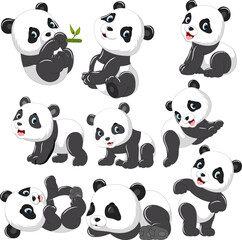 Cute Panda Set