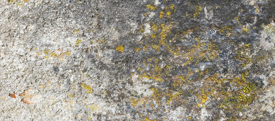 old stone wall