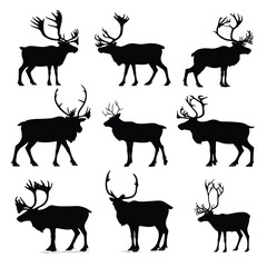 Fototapeta premium caribou silhouette set, Black & White silhouette set