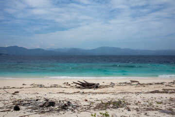 Scenic View of Beach with Driftwood and Mountains
