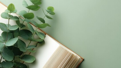 Open book with eucalyptus sprigs on pastel green background