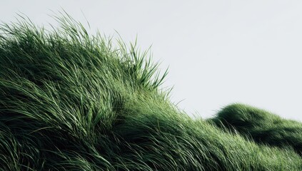 Lush green grass field gently undulating