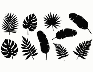 hand drawn leaves vector of an abstract background