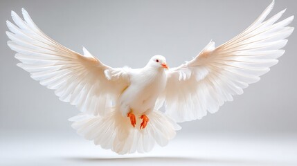 Fototapeta premium 🕊️Celestial Messenger: A pristine white dove, wings gracefully outstretched, soars through the air, embodying peace and freedom. It's a symbol of hope and serenity.