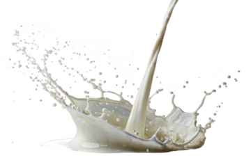 Milk splash frozen in time isolated on transparent background