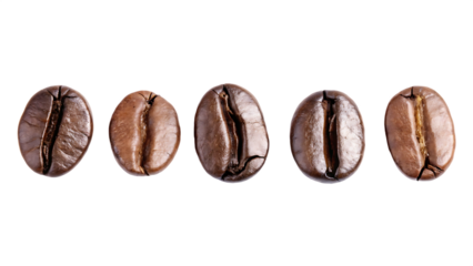 Five roasted coffee beans isolated on isolated on a transparent background brown