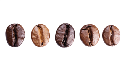 Five roasted coffee beans isolated on white background isolated on a transparent background