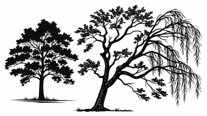 Vector illustration of black and white trees silhouette drawing nature landscape forest botanical design 100
