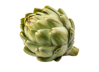 Obraz premium Green artichoke with layered petals isolated on black vegetable food, Isolated, Png Transparent Background