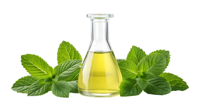 Clear liquid oil in flask with peppermint leaves isolated on transparent background