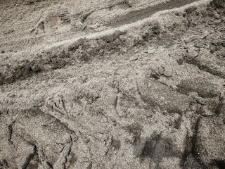 Wheel tracks on the soil.