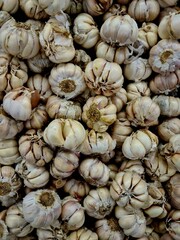 Garlic bulbs stacked in a pile