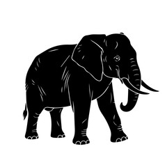 Obraz premium Silhouette of an African elephant in profile view.