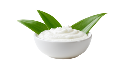 Organic plant based cream served in ceramic bowl with natural green leaf decoration