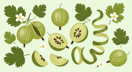 Delightful gooseberry vector art composition showcasing leaves, flowers, halves and peels