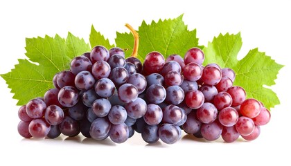 Fototapeta premium Two bunches of red grapes with green leaves, isolated on white