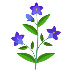 blue flowers isolated on white background