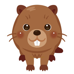 正面から見たビーバーのイラスト
