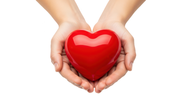 Two gentle human hands carefully cradling a shiny red heart symbol of love and care isolated on transparent background
