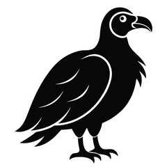 Fototapeta premium Solid color Turkey Vulture animal vector design