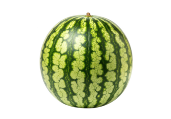 A single ripe watermelon with green stripes and light green patterns on a fruit food