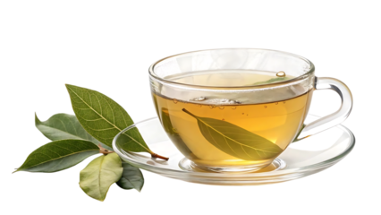 Hot herbal tea in a clear glass cup with fresh green leaves