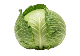 Fresh green cabbage head isolated on vegetable food