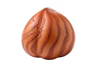 Macro photograph of a single brown hazelnut with deep grooves against food close-up