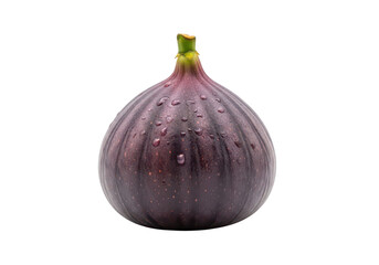 Single ripe deep purple fig with water droplets on fruit dark 1