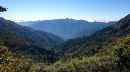 Naklejka premium Mountain valley vista, dense forest, clear sky