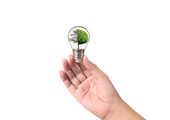 light bulb in hand Business Concepts, Business Approaches and Success in Finance, Banking and Investment
