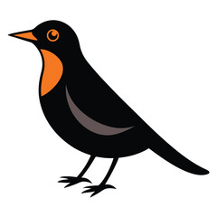 Solid color Thrush animal vector design