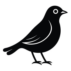 Solid color Thrush animal vector design