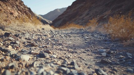 Rocky desert trail disappearing into a canyon