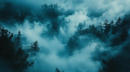 Misty mountain forest