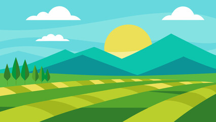 serene sky rice fields