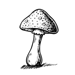 "Ultimate SVG Vector Design Bundle &ndash; Abstract, Geometric, Botanical, Mandala, Minimal, Vintage & Modern Elements for Cricut, Laser Cutting, Sublimation, and DIY Crafts"