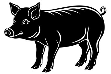 vector illustration of a pig