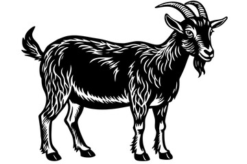 goat on white background vector 