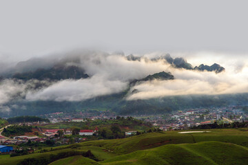 nature landscape