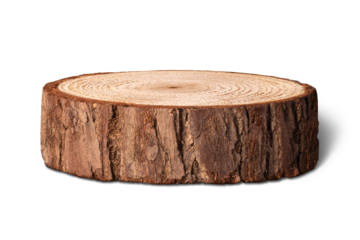 円柱形に切断された木材。ナチュラルな木のポディウム