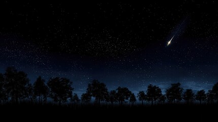 Fototapeta premium Silhouette of trees against a night sky with a shooting star.